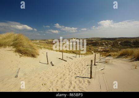 In der Dünenlandschaft von Bergen, Nordholland Stockfoto