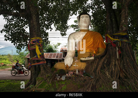 Buddha und Baum - in der Nähe von Wat Phu Champasak Laos Stockfoto