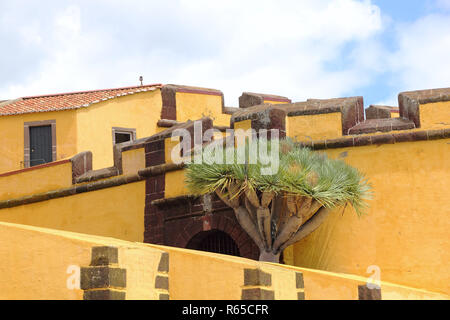 Die San Tiago Festung in Funchal auf dem Atlantik Insel Madeira Stockfoto