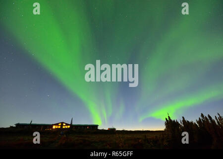 Aurora borealis über Ennadai Lake, Arktis Haven Lodge, Territorium Nunavut, Kanada Stockfoto