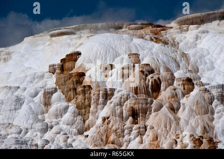 Yellowstone NP Mammoth Hot spring Stockfoto