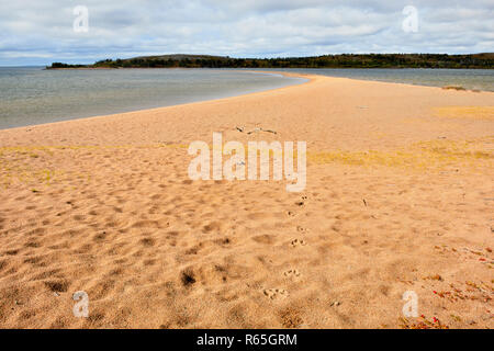 Wolf Spuren im Sand entlang der Ufer des Ennadai Lake, Ennadai Lake, Territorium Nunavut, Kanada Stockfoto