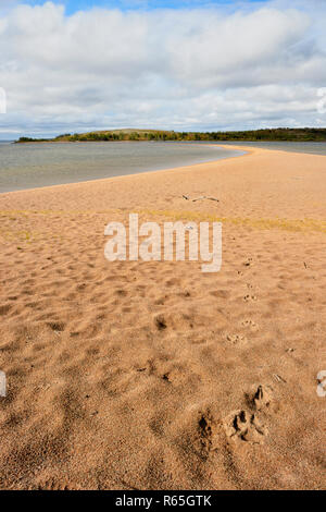 Wolf Spuren im Sand entlang der Ufer des Ennadai Lake, Ennadai Lake, Territorium Nunavut, Kanada Stockfoto