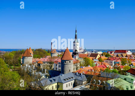 Blick über die Altstadt - Tallinn, Estland, Baltikum, Europa Stockfoto