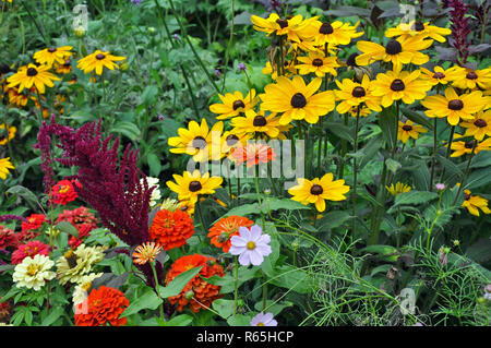 Bunte Ende Sommer Garten Stockfoto