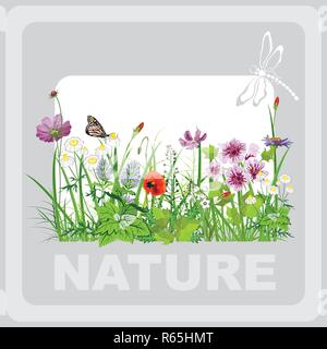 Grünes Gras und Blumen, Landschaft, Natur, Banner in Vektorgrafiken Stock Vektor