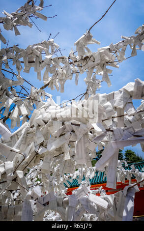 Omikuji Baum an Heian Jingu Shrine Temple, Kyoto, Japan Stockfoto