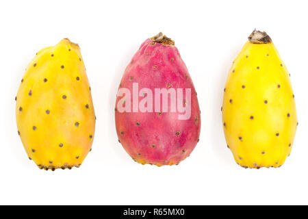 Rot Gelb kaktusfeige oder Opuntia auf einem weißen Hintergrund. Ansicht von oben. Flach Stockfoto