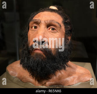 Neanderthal Büste, Homo neanderthalensis, National Museum of Natural History, DC Stockfoto