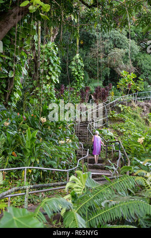 Hilo, Hawaii - eine Frau steigt eine lange Treppe nach oben Rainbow Falls. Stockfoto