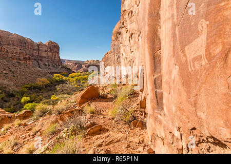 Felszeichnungen entlang Kane Creek Road über Kane Springs Canyon mit goldener Herbst Cottonwood Bäumen in der Nähe von Moab, Utah. Stockfoto