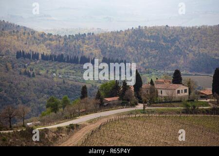 Typische Tuscanian Landschaft - ein Blick auf eine Villa auf einem Hügel, Zypressen Allee und ein Tal mit Weinbergen in der Provinz Siena. Toskana, Italien Stockfoto