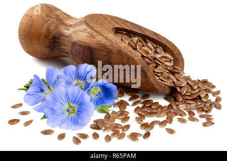 Leinsamen in Holz- Schaufel mit Blumen auf weißem Hintergrund Stockfoto