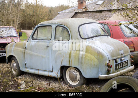 Austin A30 Classic Motor Car von 1958 Links nach Verfall und Fäulnis in einem Bauernhof in Yorkshire, England Stockfoto