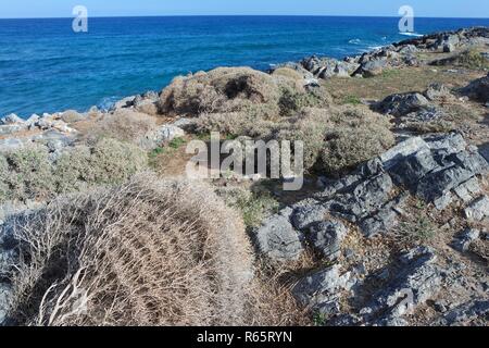 An der felsigen Küste in Kreta Stockfoto