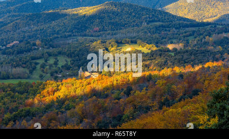 Beautifal Herbst Buche Wald en Berg Montseny in Spanien Stockfoto