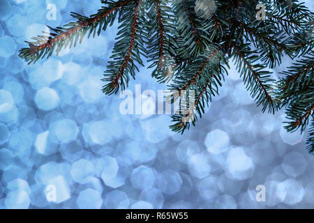 Weihnachten Hintergrund-fir Zweig vor einem blau schimmernden Hintergrund Stockfoto