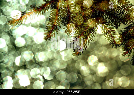 Weihnachten Hintergrund-fir Zweig vor einem golden funkelnden Hintergrund Stockfoto