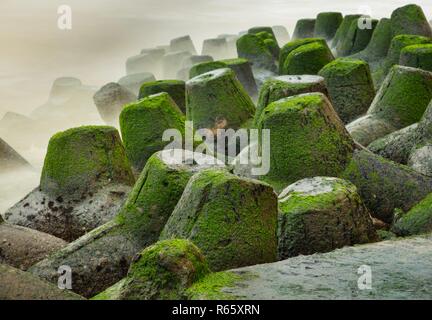 Ein Felsvorsprung Küstenschutz Barriere aus Tetrapods und großen Felsen in grün Moos bedeckt. Stockfoto