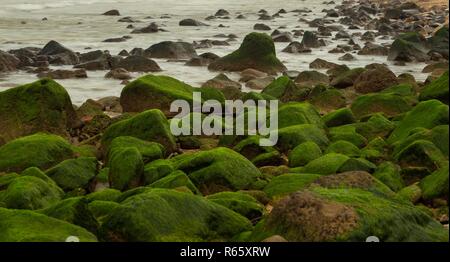 Ein Felsvorsprung Küstenschutz Barriere aus Tetrapods und großen Felsen in grün Moos bedeckt. Stockfoto