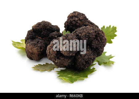 Schwarze Trüffel und Eichenlaub. Stockfoto