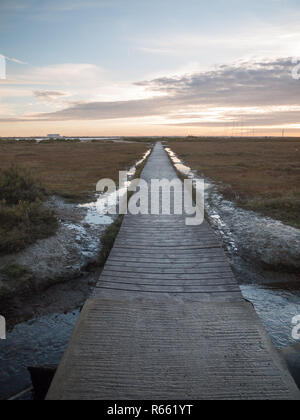 Holzsteg Weg voran Leer keine Menschen Strand Landschaft Stockfoto