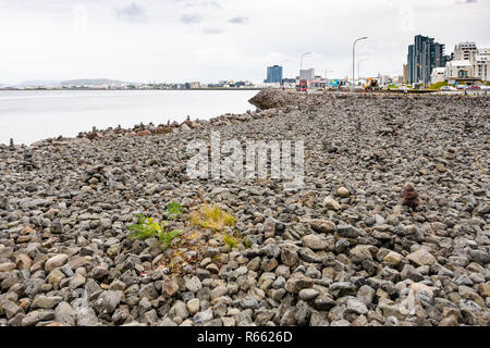 Stein Strand an der Atlantischen Küste in Reykjavik Stockfoto