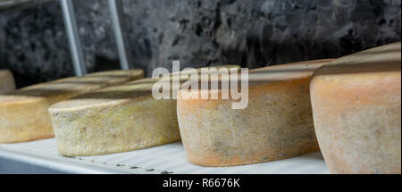 Gewürz von Käse in der Mine Stockfoto