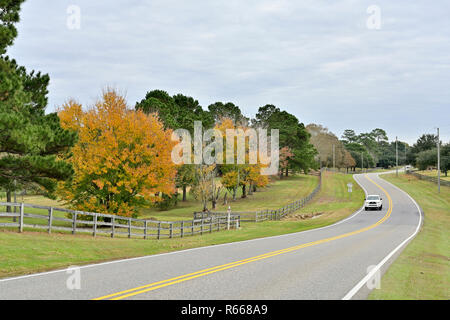 Ruhigen kurvenreichen Landstraße oder die Spur mit einem Split Schiene Zaun und Bäume in Herbstfarben im Süden von Alabama, USA, mit einem weißen Auto nähert. Stockfoto