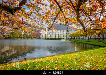 Lille Lungegardsvannet See in den Bergen im Herbst Stockfoto