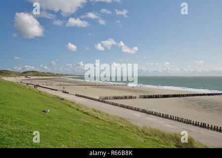 Deich, Dünen, Strand und Nordsee mit buhnen in Zoutelande, walcheren, Zeeland, Niederlande Stockfoto