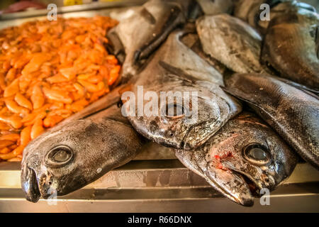 Fisch zum Verkauf Stockfoto