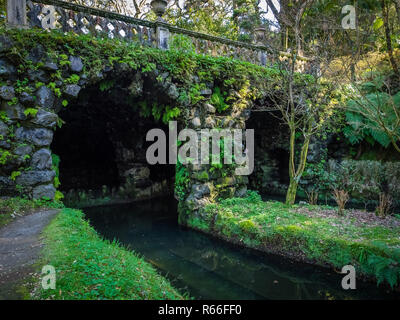 Brücke in Terra Nostra Garden Stockfoto