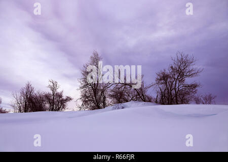 Eine Winterlandschaft mit tiefem Schnee und bewölkter Himmel in Ultraviolett Stockfoto