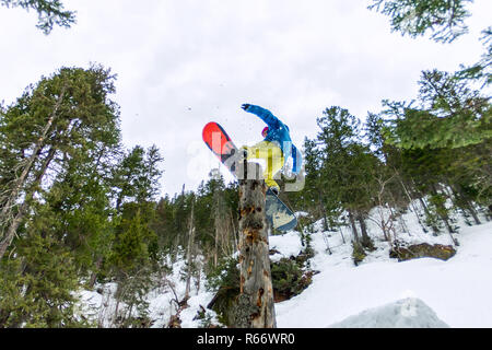 Freestyle snowboarder macht Flatland stehend auf einem Baumstamm in einem Wald im Winter in den Bergen Stockfoto