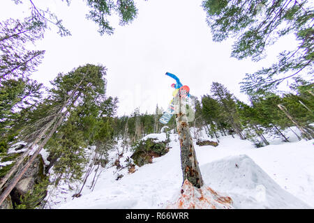 Freestyle snowboarder macht Flatland stehend auf einem Baumstamm in einem Wald im Winter in den Bergen Stockfoto