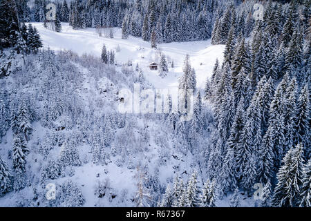 Antenne Flug mit Drohne über Nadelwald im Winter in Österreich in Salzburg. Stockfoto