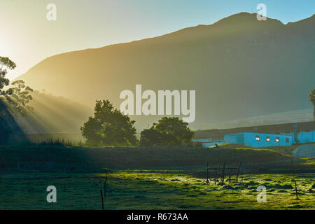 Sonnenaufgang auf welgelegen Farm Stockfoto