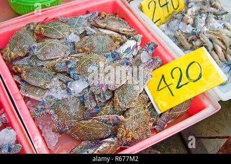 Pferd crab Einfrieren im rosa Pickup und Preis Stockfoto