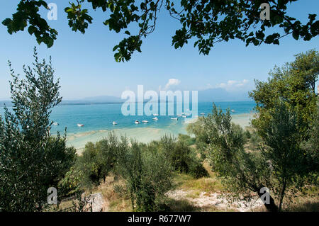 Der Naturpark von Sirmione del Garda, Italien Stockfoto