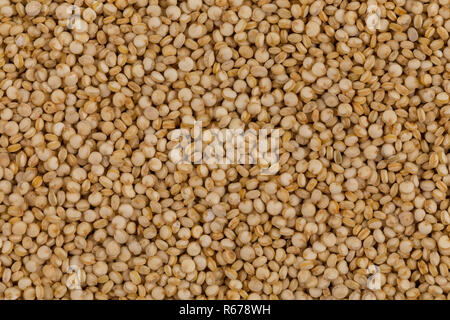 Quinoa Samen Nahaufnahme Stockfoto