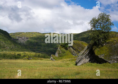 Stockfoto