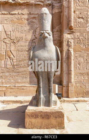 Der Falkengott Horus in Edfu Tempel, am Westufer des Nils, Edfu, Oberägypten Stockfoto