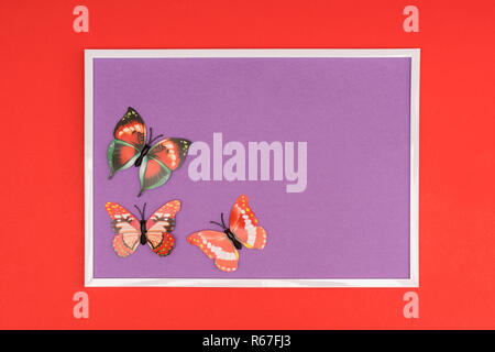 Dekorative Schmetterlinge in einem weißen Rahmen auf einem farbigen Hintergrund Stockfoto