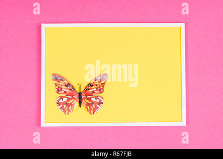 Dekorative Schmetterlinge in einem weißen Rahmen auf einem farbigen Hintergrund Stockfoto