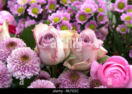 Schöne Blumen zum Muttertag Stockfoto