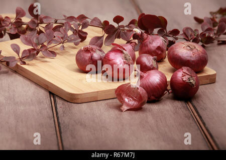 Frische rohe lila Zwiebeln auf ein Schneidebrett mit einem Werk auf der Rückseite platziert auf einer hölzernen Oberfläche. Red Pearl Zwiebeln auf Holz Schneidebrett. Stockfoto