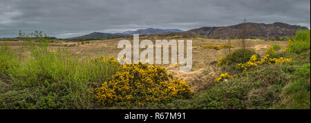 Panorama der ländlichen Irische Landschaft Stockfoto