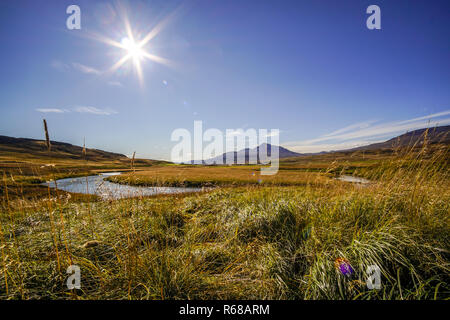 Herbstfarben in der Nähe von Borgarfjoedur, East Iceland Stockfoto