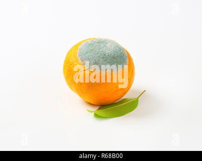Ein faules orange Stockfoto